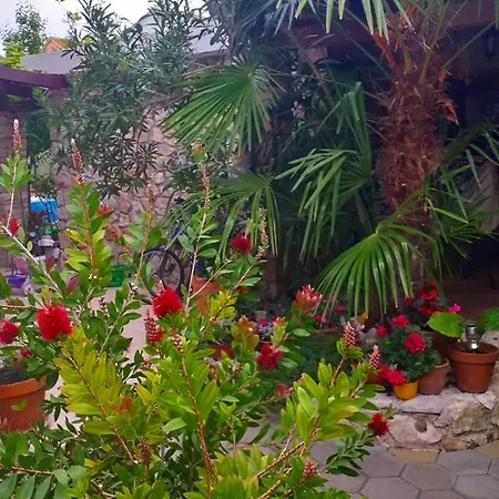 Arta Appartement