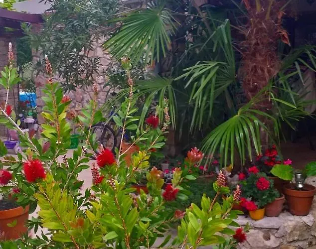 Arta Апартаменты