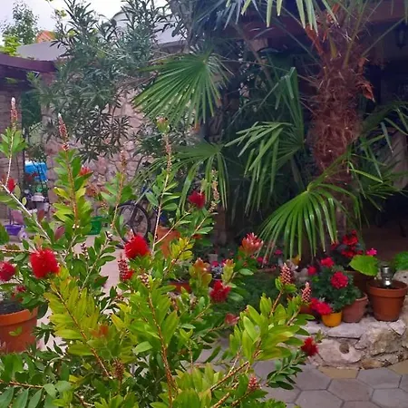 Arta Apartment