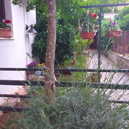 Apartment Arta *