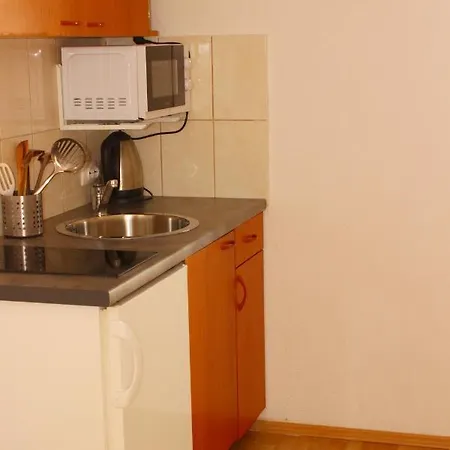 Apartment Arta *
